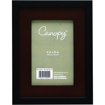 canopy 4x6 frame set