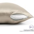 thumbnail image 3 of TAFTS Silk Pillowcase 22 Momme 100% Pure Mulberry Silk Pillowcase for Hair and Skin, Both Sides Grade 6A Long Fiber Natural Silk Pillow Case, Concealed Zipper, Queen, Nude, 3 of 3
