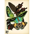 thumbnail image 3 of Vintage Apple Collection 14x18 Black Modern Framed Museum Art Print Titled - Papillons_1, 3 of 5