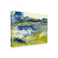 thumbnail image 2 of Trademark Fine Art 'Marine Flow I' Canvas Art by J. Holland, 2 of 4