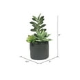 thumbnail image 2 of Vickerman 9" Artificial Green Succulents in Cement Pot., 2 of 3