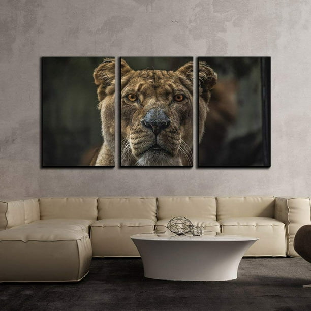 Wall26 Modern Lion Animals Canvas Wall Art Prints, 24"x36", Set of 3