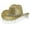 GD2, variant on Western Style Cowboy Hat with Sparkling 3D Gemstones and Rhinestone Fringes for Outdoor Events and Fashion Sun Silver One Size