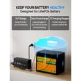 thumbnail image 2 of Cargador de batería ECO-WORTHY 12V 20A LiFePO4 con conector, 2 of 9