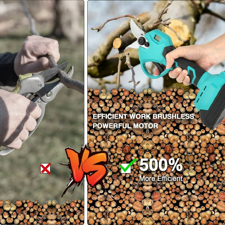 Dragro Electric Pruning Shears Professional Cordless Electric Pruning  Battery Powered, Tree Branch Pruner with 2 PCS Rechargeable 2 Ah Lithium  Battery