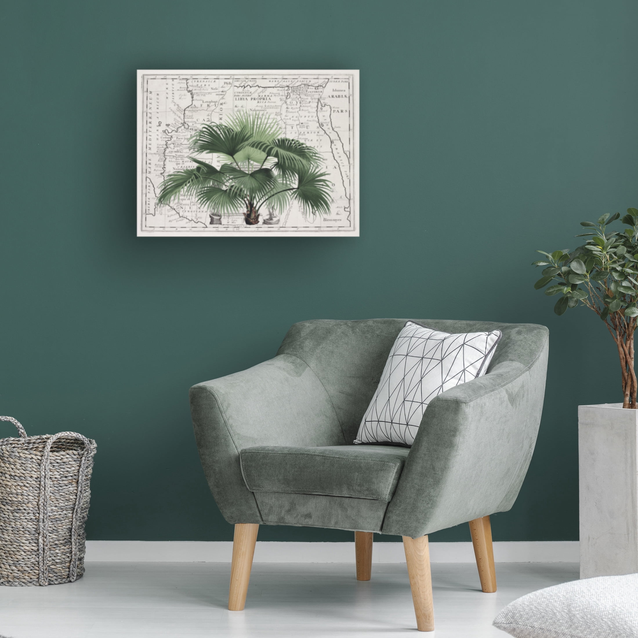Trademark Fine Art Andrea Haase Tropical Empire No3 Canvas Wall Art