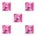 thumbnail image 2 of Minnieouse Paquete de 100 pétalos de flores de rosas artificiales, adornos de flores falsas, accesorios de diseño para el hogar para compromiso, rojo Type2 NO2 Minnieouse CBP105741, 2 of 4