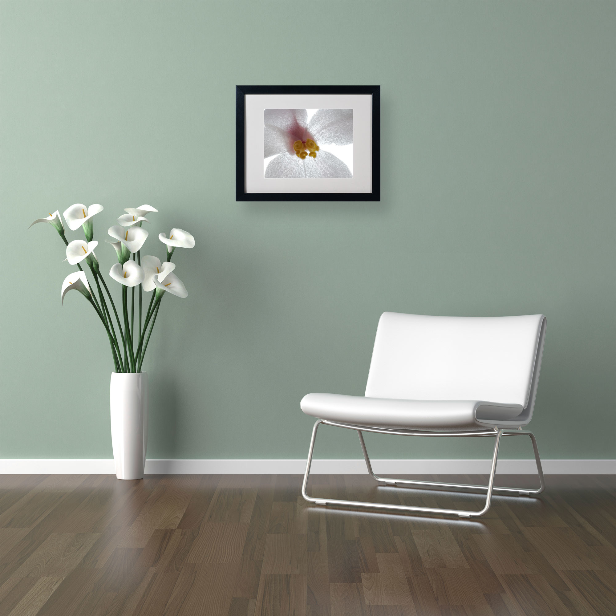 Kurt Shaffer 'Escargo Begonia' Black Wooden Framed Art 18 x 22 Inches