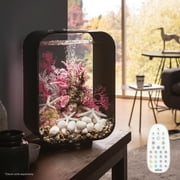 biOrb LIFE 15 Aquarium with MCR Light - 4 Gallon, Black