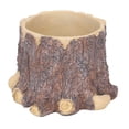 thumbnail image 1 of Cactus PlanterResin Flower Pot Door Small Plant Pot Cute Flowerpot High Capacity, 1 of 8