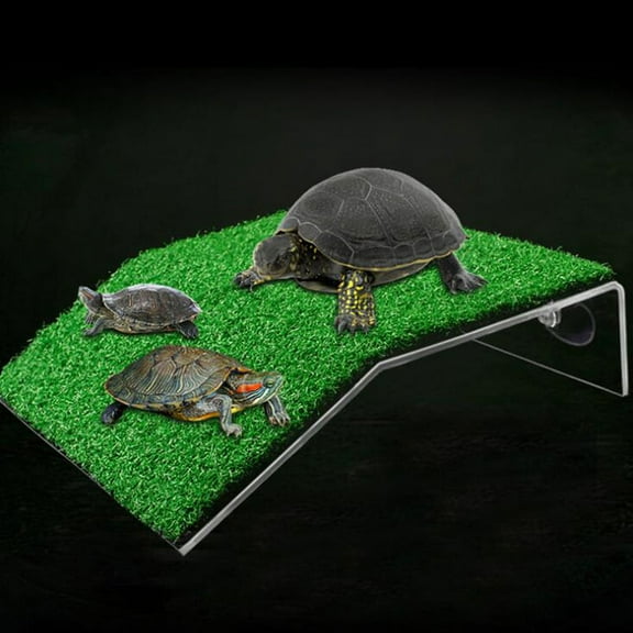 Turtle Basking Drying Platform Suction Cup Tortoise Climbing for Fish Tank