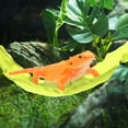 thumbnail image 7 of Unique Bargains Bearded Dragon Hammock Lizard Hammock with Suction Cups and Hooks Bearded Dragon Tank Accessories Reptile Lounger for Chameleon Geckos 1 Set Fluorescent Yellow, 7 of 7