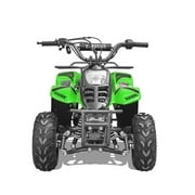 فيتاشي هوك 110 cc التلقائي بالكامل البسيطة ATV