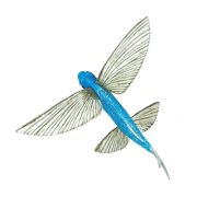 Safari Ltd. Flying Fish Figurine - Lifelike 7 Model Figure - Educational Toy for Boys, Girls, and Kids Ages 18 Months+