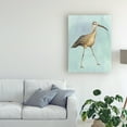 thumbnail image 3 of Trademark Fine Art 'Watercolor Beach Bird II' Canvas Art by Grace Popp, 3 of 3