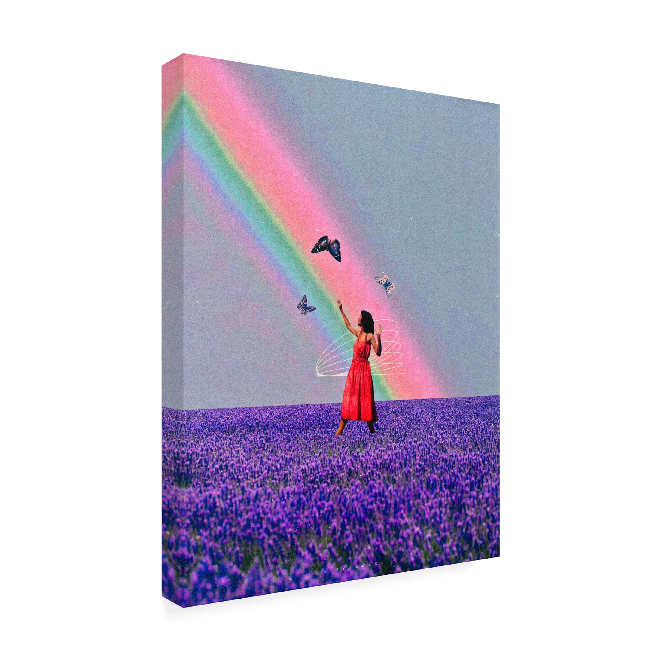 Trademark Fine Art spacerocket art 421 Canvas Wall Art