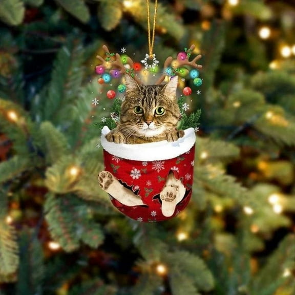 Acrylic 2D FLAT Cat In Snow Pocket Christmas Ornament 21