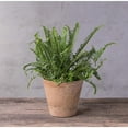 thumbnail image 3 of Root & Vessel Cali Round Planter, Mint, 8", 3 of 7