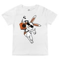 thumbnail image 7 of BOOM BOX BUNNY, 7 of 7
