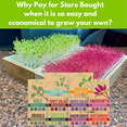 thumbnail image 4 of Zestigreens Organic Microgreens Seed Variety Pack - 10 Varieties Including Broccoli, Sunflower, Pea, and Radish (Grow Your Own), 4 of 6
