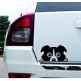 thumbnail image 3 of Calcomanía de perro asomando, pegatina de vinilo con cara de perro para coche, calcomanía de ventana de coche con adhesivo de mascota asomando, calcomanía de perro en blanco y negro 14*8cm, 3 of 5