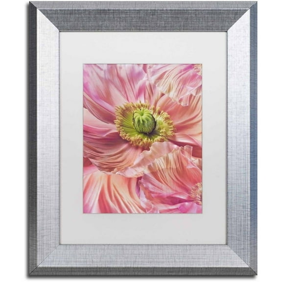 Trademark Fine Art 'Cerise Pink Poppy' Canvas Art by Cora Niele, White Matte, Silver Frame