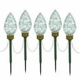 thumbnail image 1 of Vickerman X106435 100 Light x 8.5 in. LED Polar White C9 5 Piece Stake, 1 of 1