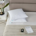 thumbnail image 2 of Blue Ridge Martha Stewart 233 Thread Count Cotton Square Feather Pillow - Euro 26"X26", White Two Pack, 2 of 4