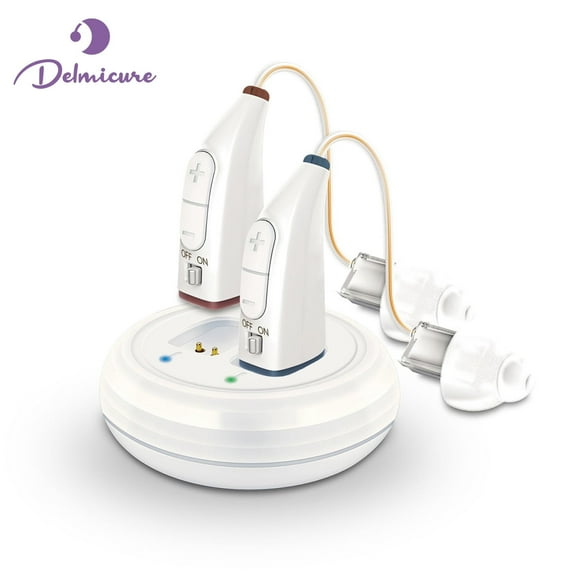 Delmicure Hearing Aids for Seniors with Noise Cancelling, Hearing Devices for Adults with Adjustable Volume& Charging Case - Rechargeable Sound Devices for Adults