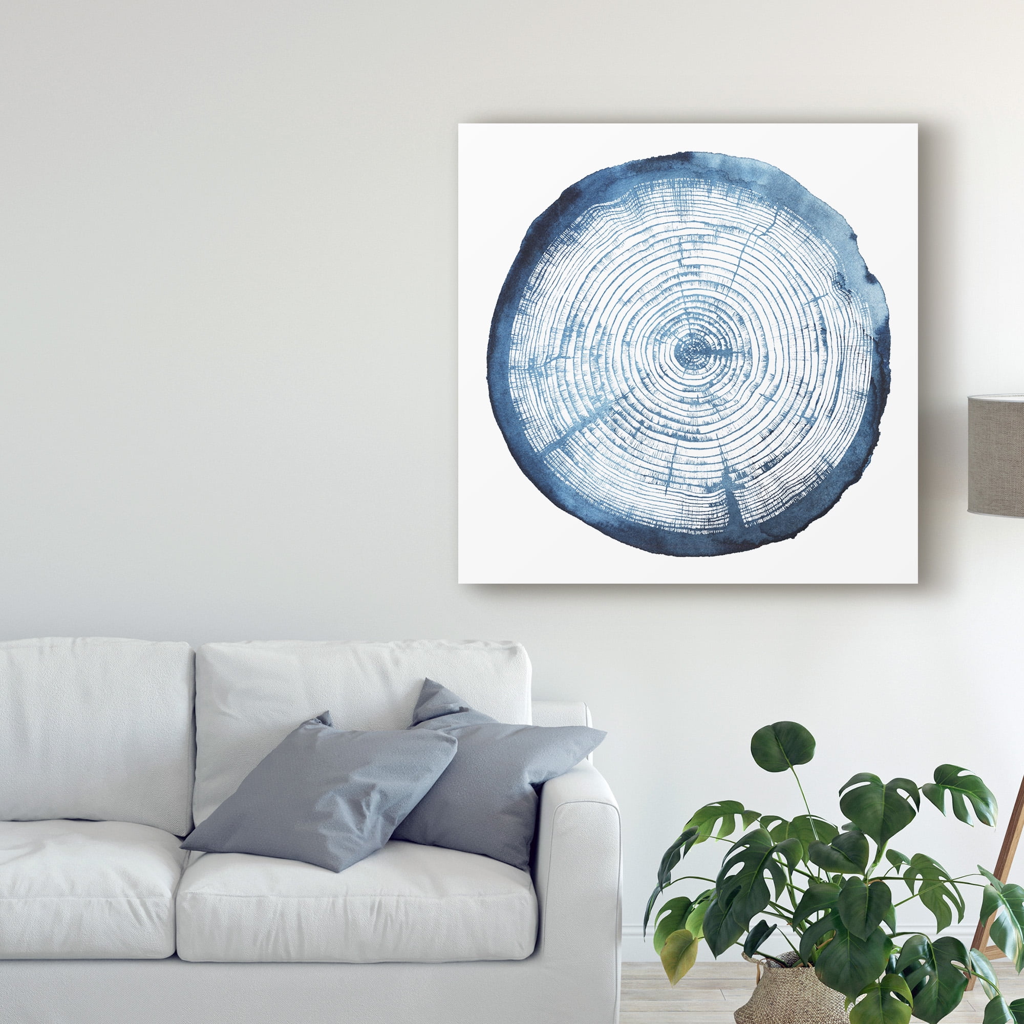 Trademark Fine Art 'Tree Ring Overlay I' Canvas Art by Grace Popp
