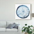 thumbnail image 3 of Trademark Fine Art 'Tree Ring Overlay I' Canvas Art by Grace Popp, 3 of 4