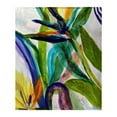 thumbnail image 1 of Teal Paradise II Couverture, 1 of 1