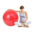 thumbnail image 5 of Exercise Gym Ball Anti-burst Pilates Yoga Core Birthing Training With Pump, 5 of 5