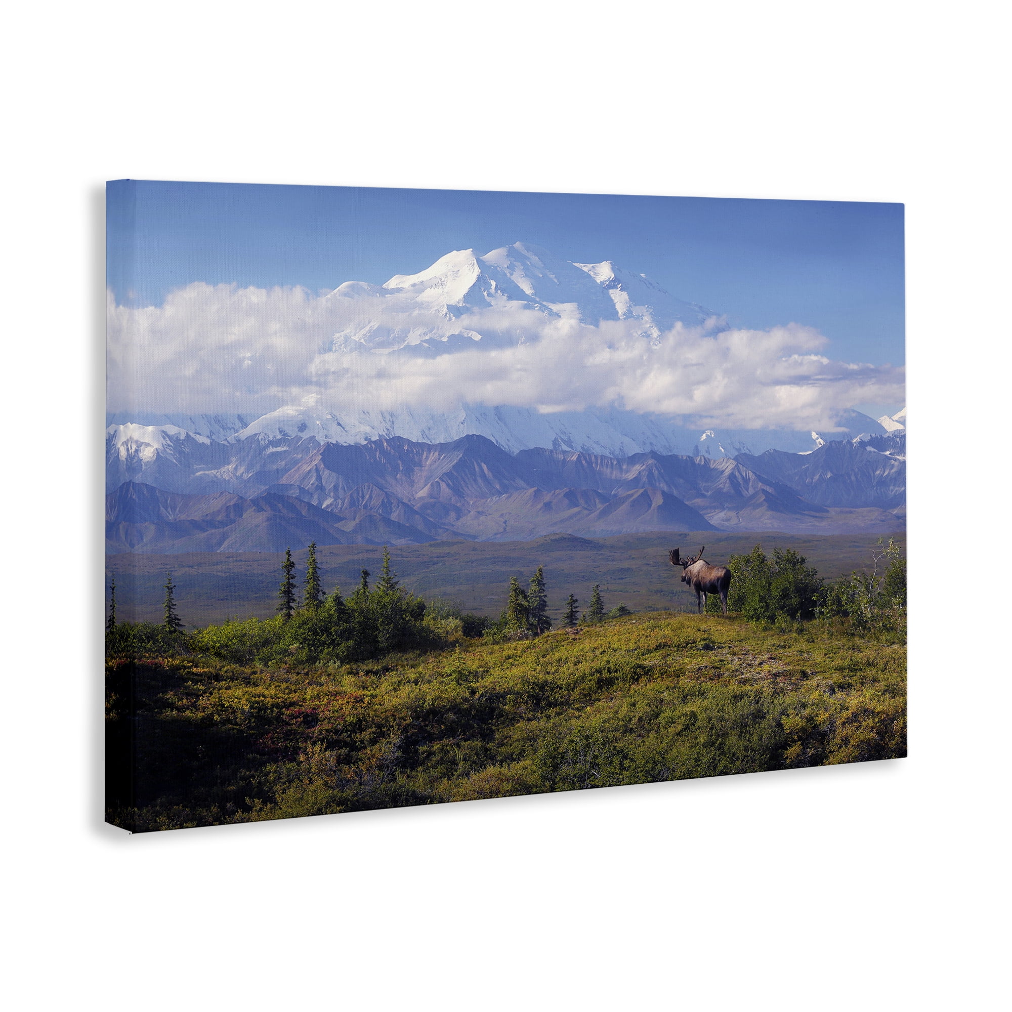 Stupell Industries Mountain Majesty Moose Landscape & Nature Photography Wrapped Canvas Art Print Wall Art, 45 x 30