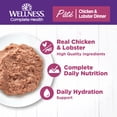 thumbnail image 4 of Wellness Complete Health Pate Adult Wet Cat Food, Natural, Protein-Rich, Grain Free, 5.5 Ounce, 24 Pack, (Chicken & Lobster), 4 of 9