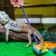 thumbnail image 1 of unbranded 2Ud Para Reptiles Pequeños Ideal Para Comida Húmeda Material Fuerte Y, 1 of 8