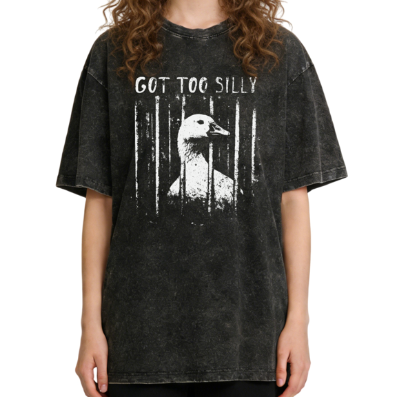 UNISHE Women's Wash Got Too Silly Goose Tee Funny Jail Meme Short Sleeve Crewneck