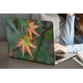 thumbnail image 4 of KSK KAISHEK Plastic Hard Case Only Compatible 2021 - 2023 Released MacBook Pro 16" XDR Display Touch ID Model: A2485 & A2780 Plants series 0423, 4 of 5