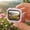 A6, variant on WDOBM Digital Camera, Security Camera with Color Night Vision, Outdoor Ready, Live View, Color Night Vision, Compact Small Video Camera Christmas Birthday Gift for Teens Starter