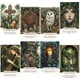 thumbnail image 3 of Oracle Cards Celtic Magic para principiantes con guía, 3 of 9
