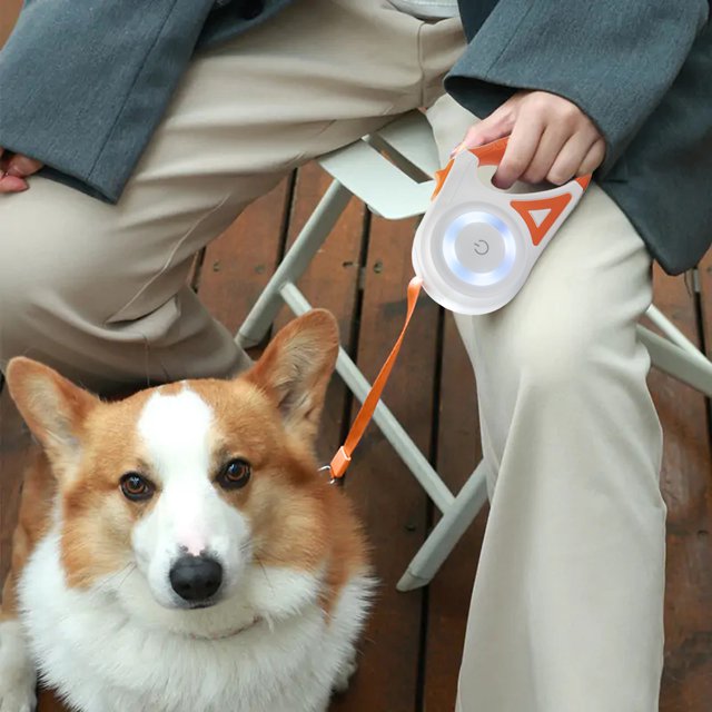 LED Light Dog Leash Leash