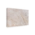 thumbnail image 4 of Trademark Fine Art Pictufy Studio III Texture 26 Canvas Wall Art, 4 of 4