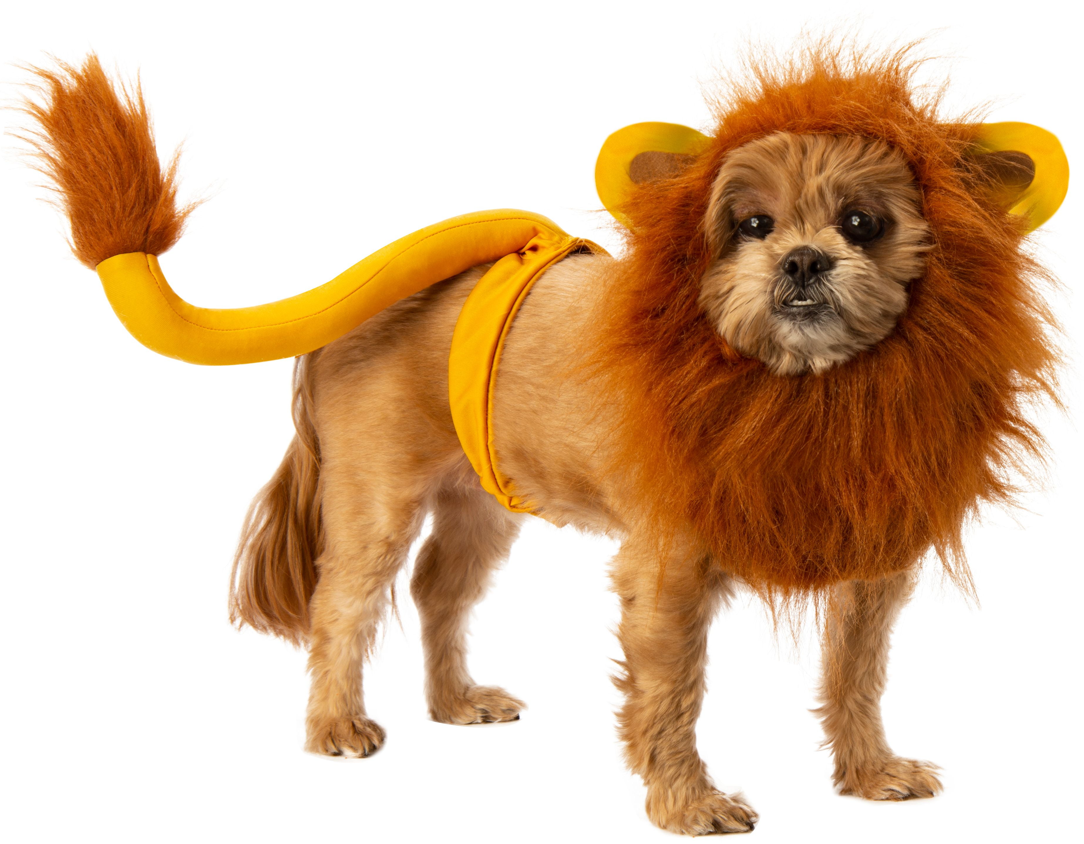 How much was spent on pet animal costumes for halloween gail's blog