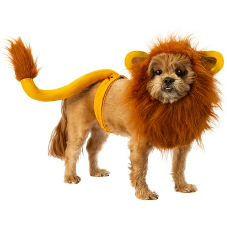 Rubies Lion King Pet Halloween Costume