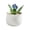 Blue, variant on AOOOWER Miniature Glass Succulents Potted Plant Figurine For Coffee Table Or Desk Decors