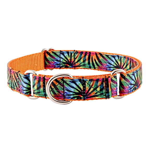 Country Brook Petz® Tie Dye Stripes Grosgrain Ribbon Martingale Collar, Small