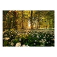thumbnail image 3 of Tiptophomedecor Landscape Wallpaper Wall Mural - Forest Flora, 3 of 4