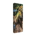 thumbnail image 2 of Trademark Fine Art 'Wild Palm I' Canvas Art by Suzanne Wilkins, 2 of 4