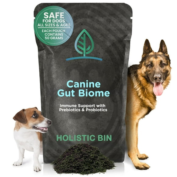 Canine Gut Biome Powder Hollistic Bin, 50 g, prebióticos y probióticos