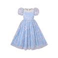 thumbnail image 1 of Girl Dress Tulle Ice Blue Embroidered Star Party Princess Pageant 6 Years, 1 of 6